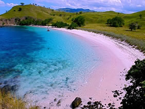pink beach komodo island